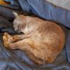 View the image: IMG_20210918_125317