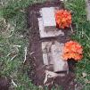 View the image: IMG_20210918_152330