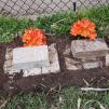 View the image: IMG_20210918_152351