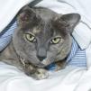 View the image: OLYMPUS DIGITAL CAMERA