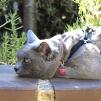View the image: OLYMPUS DIGITAL CAMERA