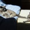 View the image: OLYMPUS DIGITAL CAMERA