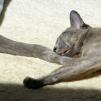 View the image: OLYMPUS DIGITAL CAMERA