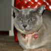 View the image: OLYMPUS DIGITAL CAMERA