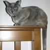 View the image: OLYMPUS DIGITAL CAMERA
