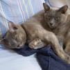 View the image: OLYMPUS DIGITAL CAMERA