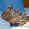 View the image: OLYMPUS DIGITAL CAMERA