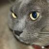 View the image: OLYMPUS DIGITAL CAMERA