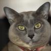 View the image: OLYMPUS DIGITAL CAMERA