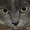 View the image: OLYMPUS DIGITAL CAMERA