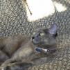 View the image: OLYMPUS DIGITAL CAMERA