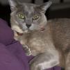 View the image: OLYMPUS DIGITAL CAMERA
