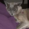 View the image: OLYMPUS DIGITAL CAMERA