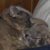 View the image: OLYMPUS DIGITAL CAMERA