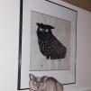 View the image: OLYMPUS DIGITAL CAMERA