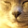 View the image: _9052863_E