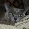 View the image: OLYMPUS DIGITAL CAMERA