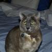 View the image: OLYMPUS DIGITAL CAMERA