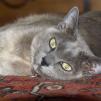 View the image: OLYMPUS DIGITAL CAMERA
