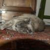 View the image: OLYMPUS DIGITAL CAMERA