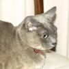 View the image: OLYMPUS DIGITAL CAMERA