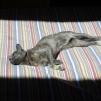View the image: OLYMPUS DIGITAL CAMERA