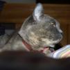 View the image: OLYMPUS DIGITAL CAMERA