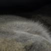 View the image: _B253130_E