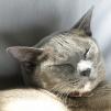 View the image: _B253131_E