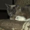View the image: OLYMPUS DIGITAL CAMERA
