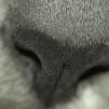 View the image: OLYMPUS DIGITAL CAMERA