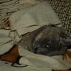 View the image: OLYMPUS DIGITAL CAMERA