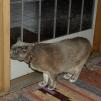 View the image: OLYMPUS DIGITAL CAMERA