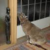 View the image: OLYMPUS DIGITAL CAMERA