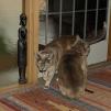 View the image: OLYMPUS DIGITAL CAMERA