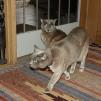 View the image: OLYMPUS DIGITAL CAMERA