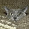 View the image: OLYMPUS DIGITAL CAMERA