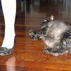 View the image: OLYMPUS DIGITAL CAMERA