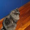 View the image: OLYMPUS DIGITAL CAMERA