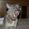 View the image: OLYMPUS DIGITAL CAMERA