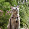 View the image: OLYMPUS DIGITAL CAMERA