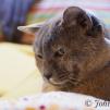 View the image: OLYMPUS DIGITAL CAMERA