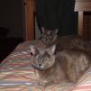 View the image: OLYMPUS DIGITAL CAMERA