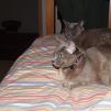View the image: OLYMPUS DIGITAL CAMERA