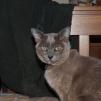 View the image: OLYMPUS DIGITAL CAMERA