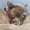 View the image: OLYMPUS DIGITAL CAMERA