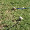 View the image: OLYMPUS DIGITAL CAMERA