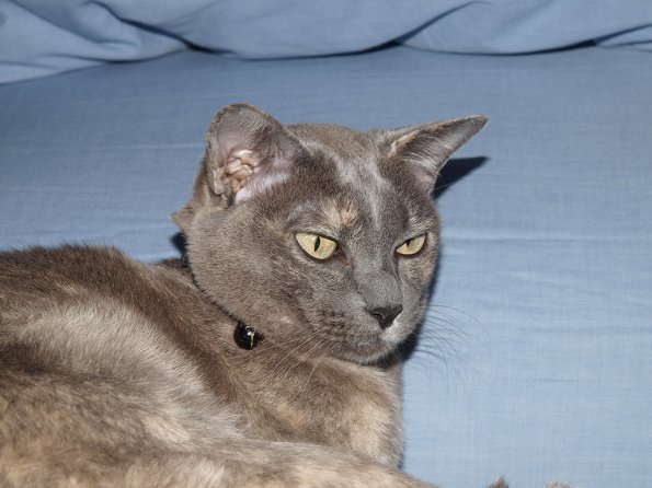OLYMPUS E-30