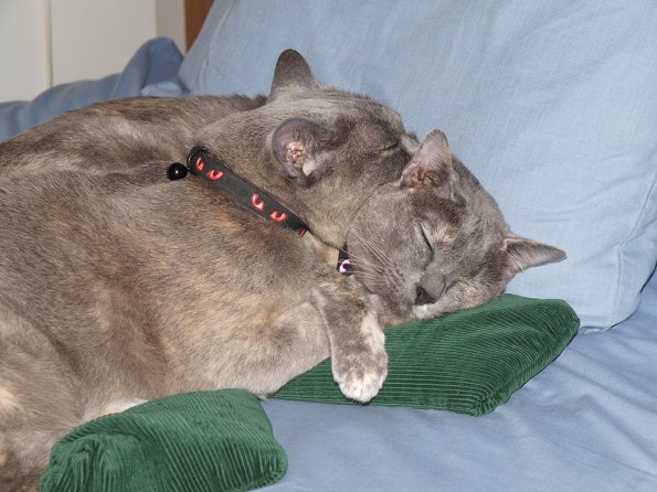 Rosa & Lizzie