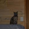 View the image: Lizzie at Marnego